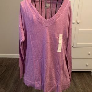 🔥⚡️Brand new with tags, V-neck soft sweater!